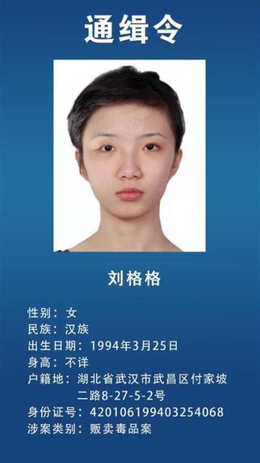 刘格格付景武被湖北省公安厅公开通缉的2名在逃人员到案