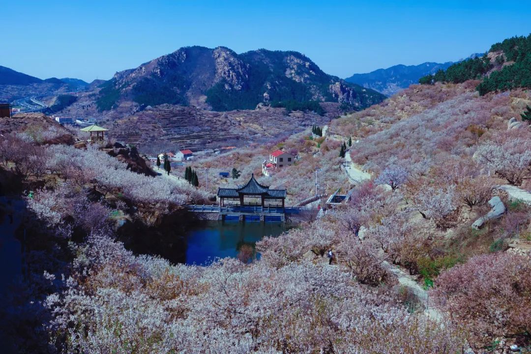 青岛北宅景点图片