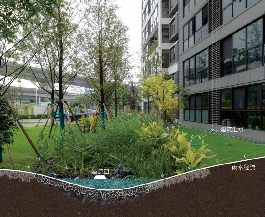 世界水日江苏旭辉社区海绵实践分享