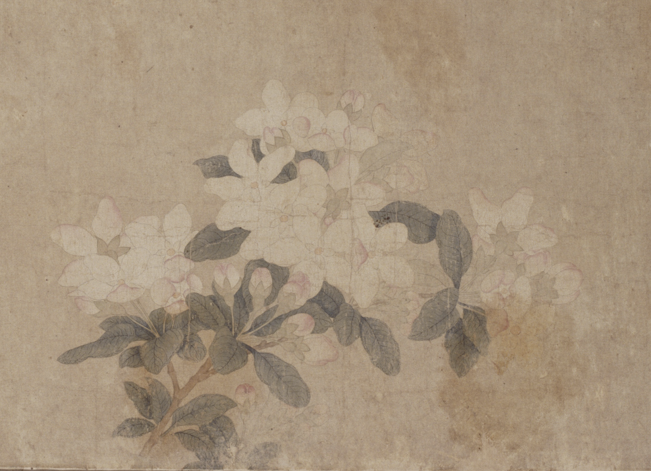 元 钱选 《八花图》卷(局部海棠) 故宫博物院藏