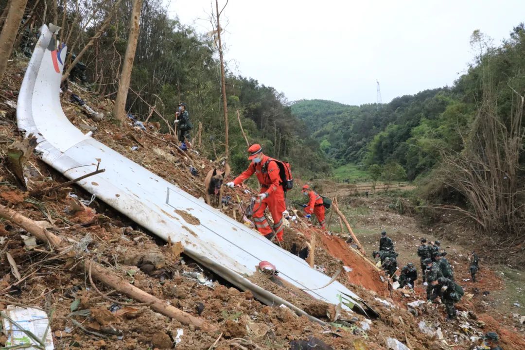 3月22日,在广西梧州藤县,武警广西总队官兵在东航mu5735航班坠机事故