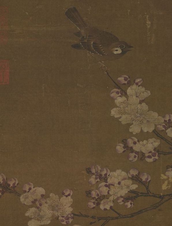 明 吕纪 《杏花孔雀》轴(局部) 台北故宫博物院藏