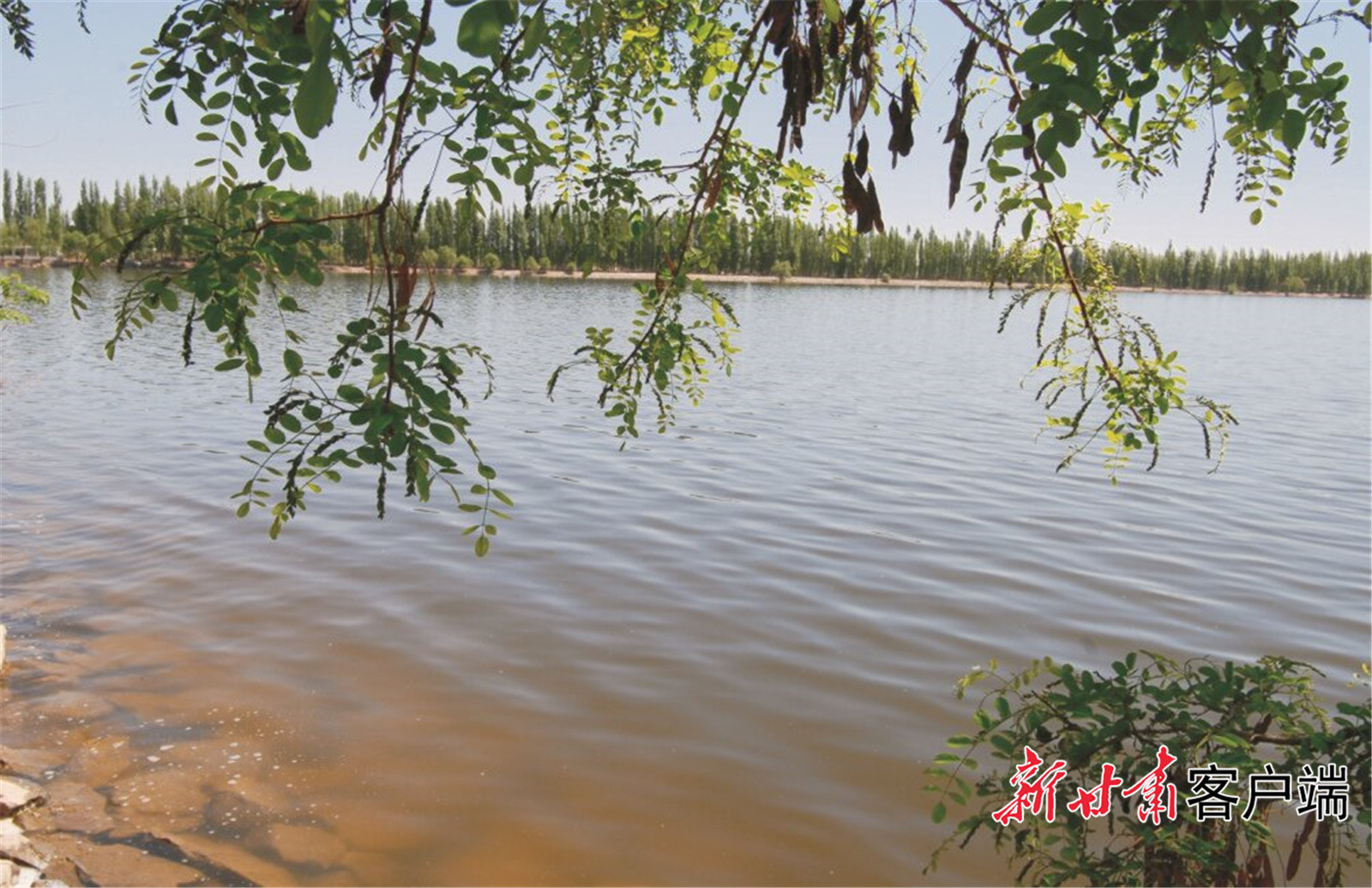 张掖市临泽县平川水库水利风景区。(甘肃省水利厅供图)