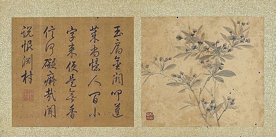 明 陈淳 《画花卉册〈海棠〉》 台北故宫博物院藏