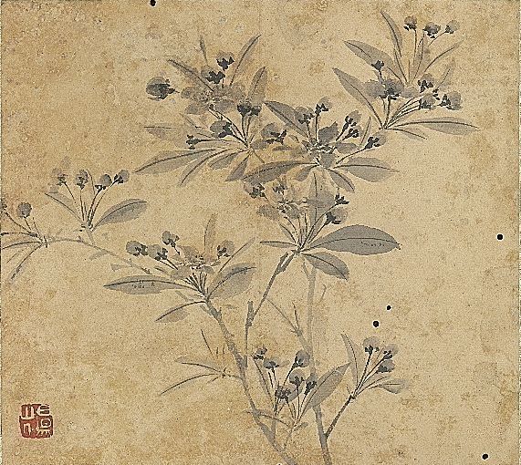 明 陈淳 《画花卉册〈海棠〉》 台北故宫博物院藏