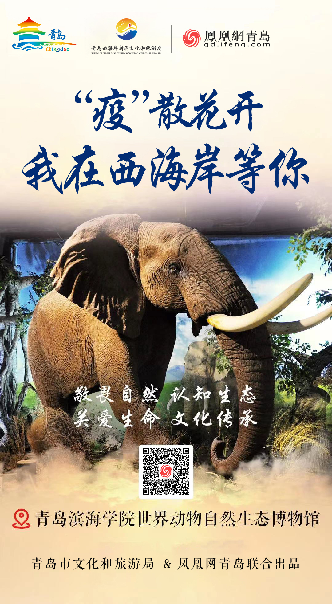 “疫”散花开,我在青岛等你 | ②美从海上来,绝色西海岸