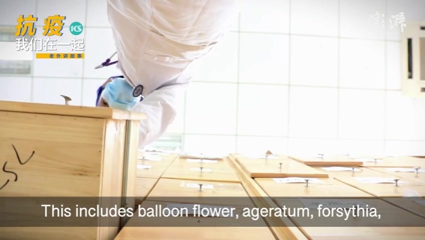 老外讲故事·抗疫·我们在一起｜洪原淑：医生无国界，抗疫第一线