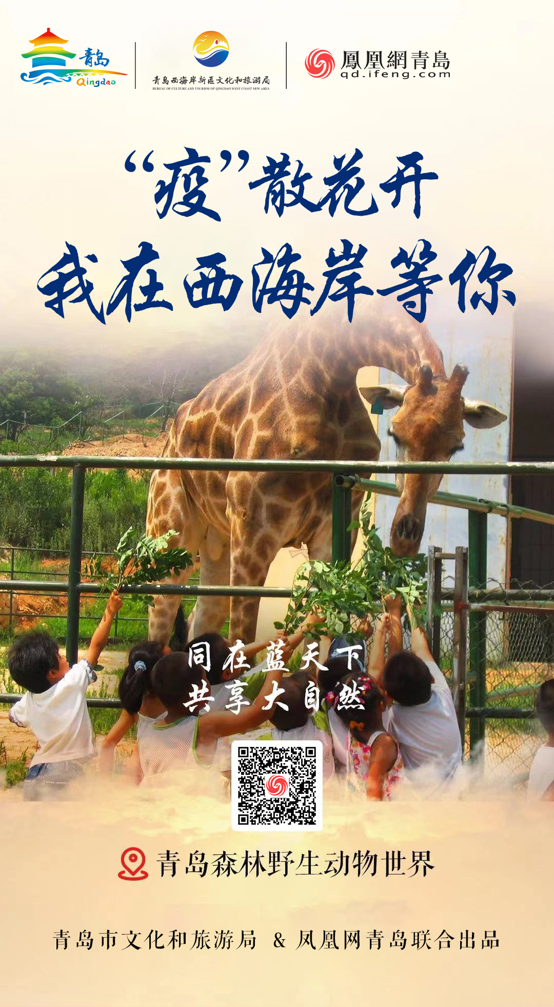 “疫”散花开,我在青岛等你 | ②美从海上来,绝色西海岸