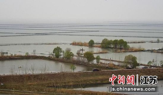 洪泽湖28万余亩养殖塘口完成主养种苗放养工作。江苏省洪泽湖渔业管理委员会办公室供图