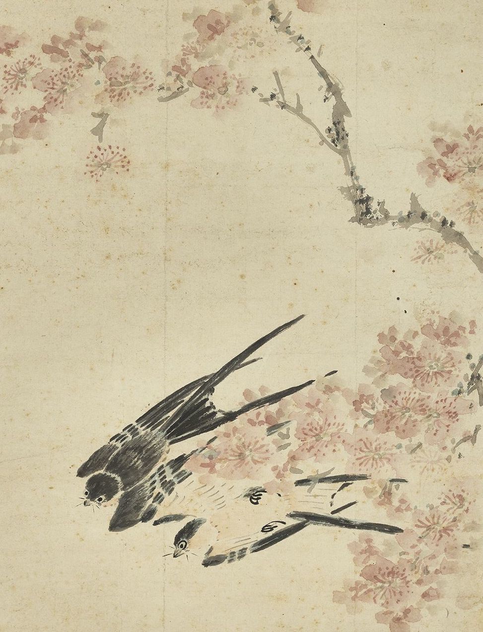 明 刘迈 《杏林春燕》轴(局部)  台北故宫博物院藏