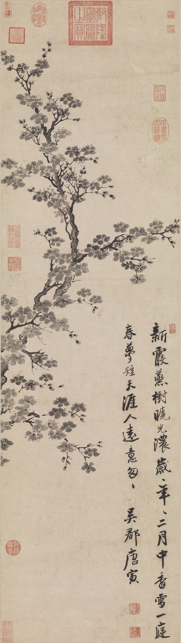 明 唐寅 《杏花》轴 台北故宫博物院藏