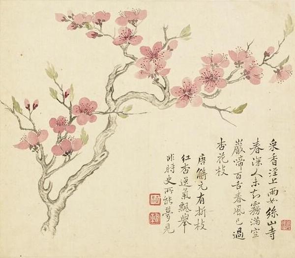 北陂杏花配画图片