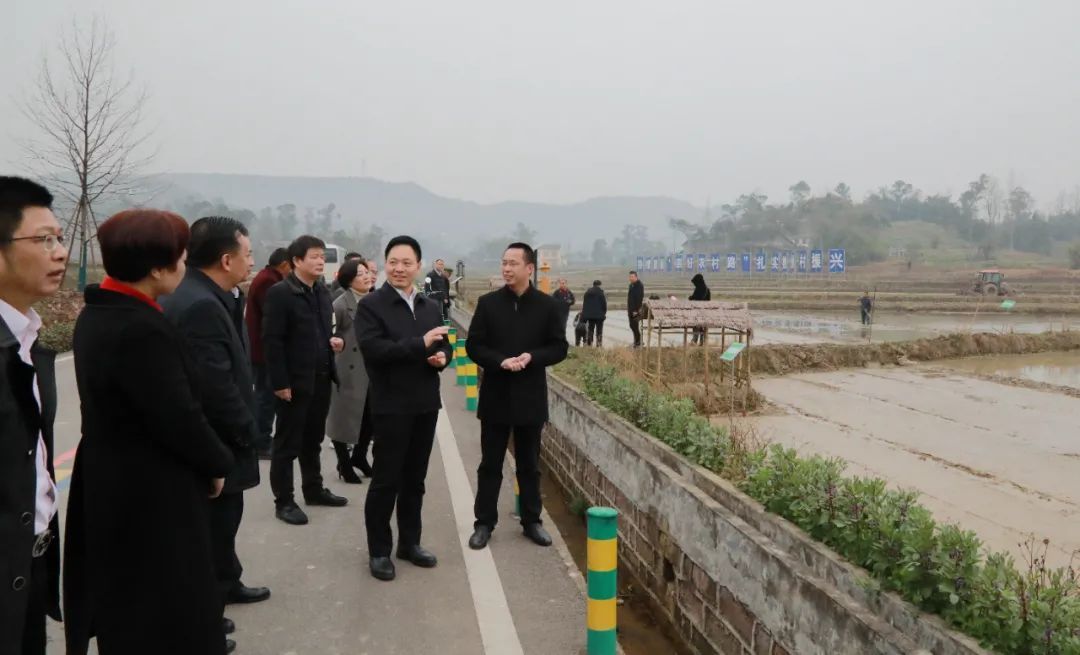 镇两路村的田坎上,梁平区委书记钱建超正询问着稻渔综合种养推进情况