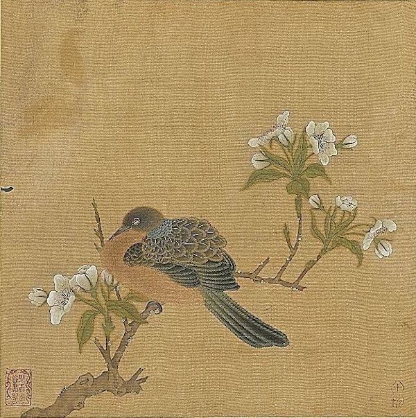 (传)明 仇英 《花鸟册〈梨花斑鸠〉》 台北故宫博物院藏