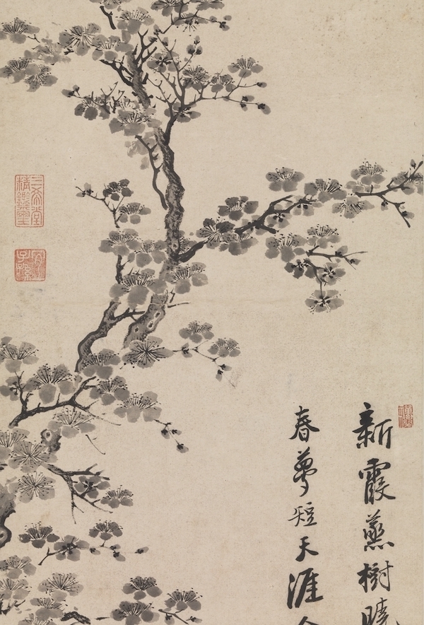 故宫花信杏花鹧鸪声里雨丝斜开遍千花与万花