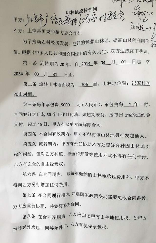 土地尚未徵收苗木卻被強行拔除上饒廣信區尊橋鄉遭種植戶投訴