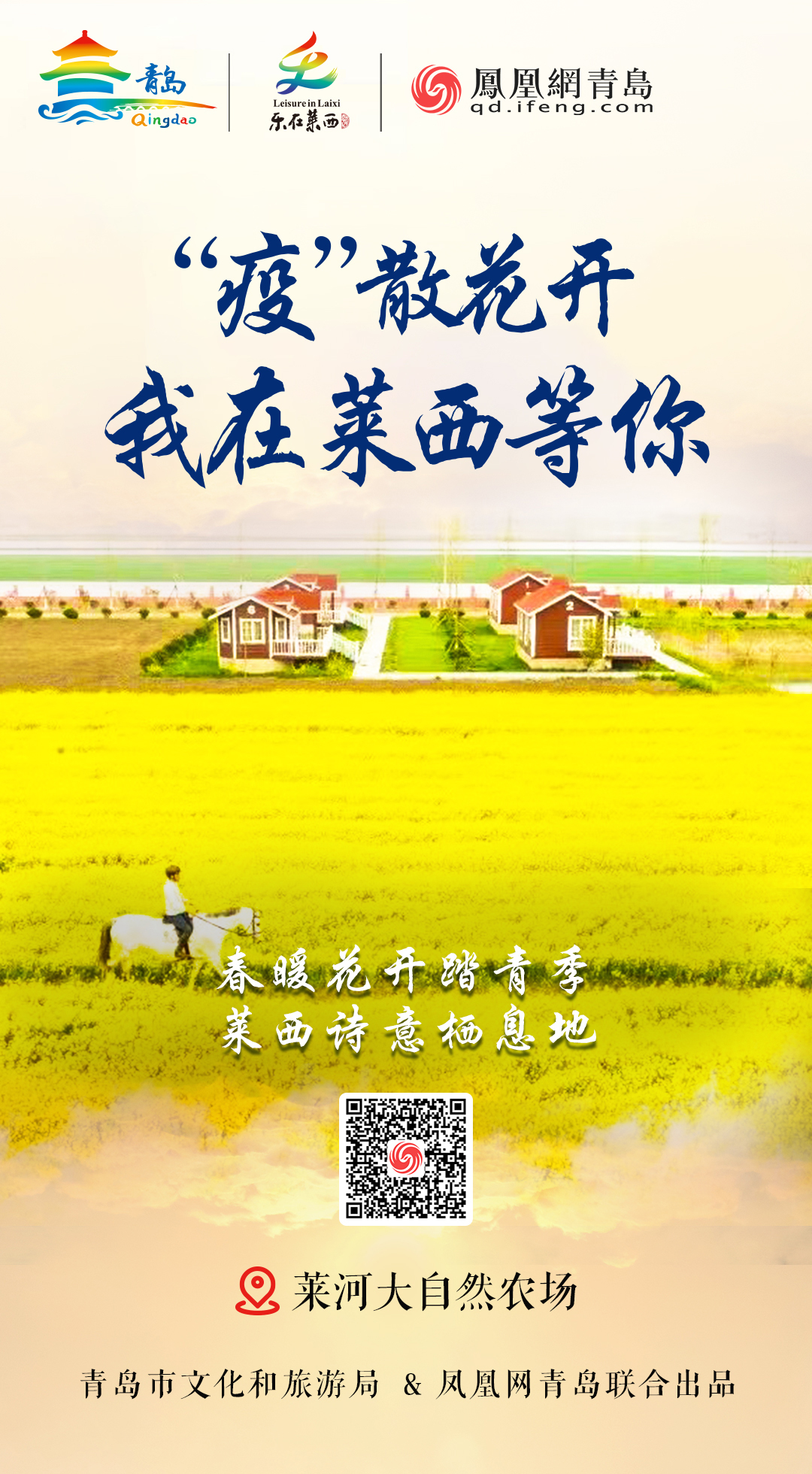 “疫”散花开,我在青岛等你 | ③ 光煦风和赏莱西