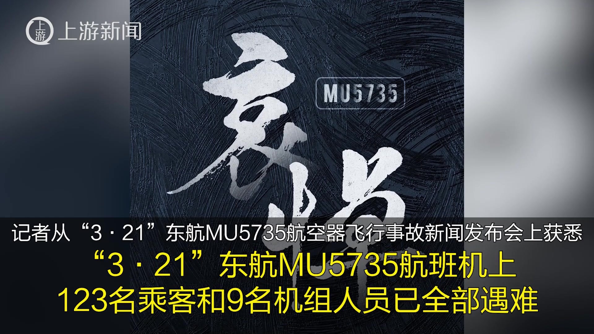 “3·21”东航MU5735航班机上132人全部遇难