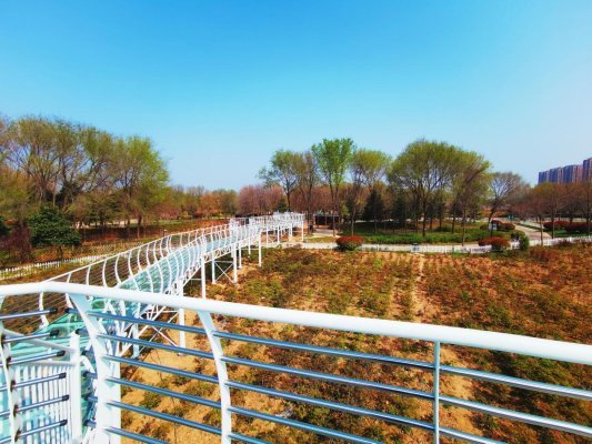 曹州牡丹园备战牡丹节新进展都在这，快来一睹为快吧