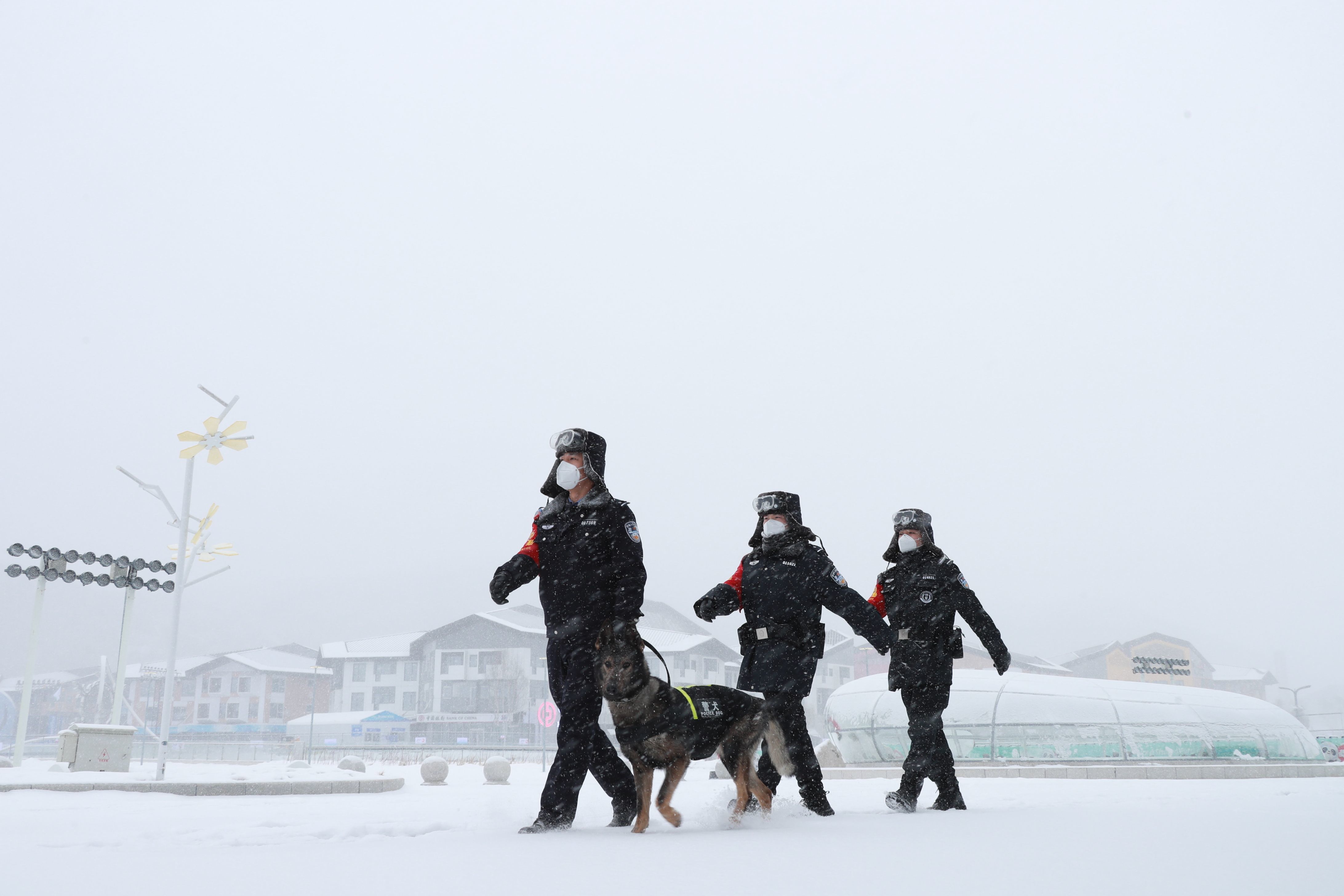 北京冬奥会期间,警犬"蒙牛"跟随民警冒雪巡逻.北京铁路公安处供图