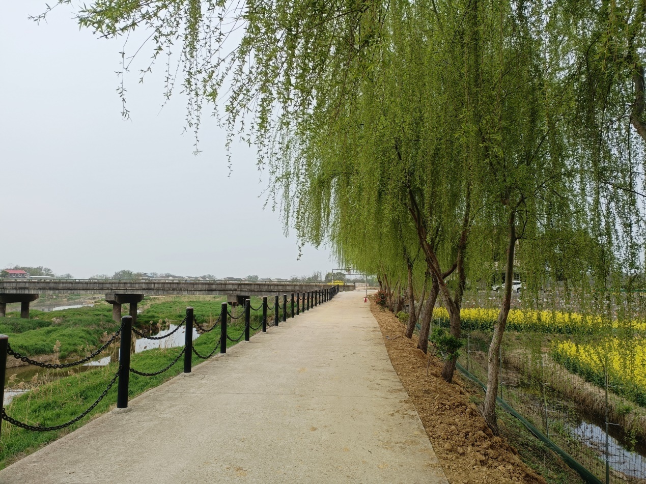 安徽桐城金神镇修好当家塘奏响振兴曲