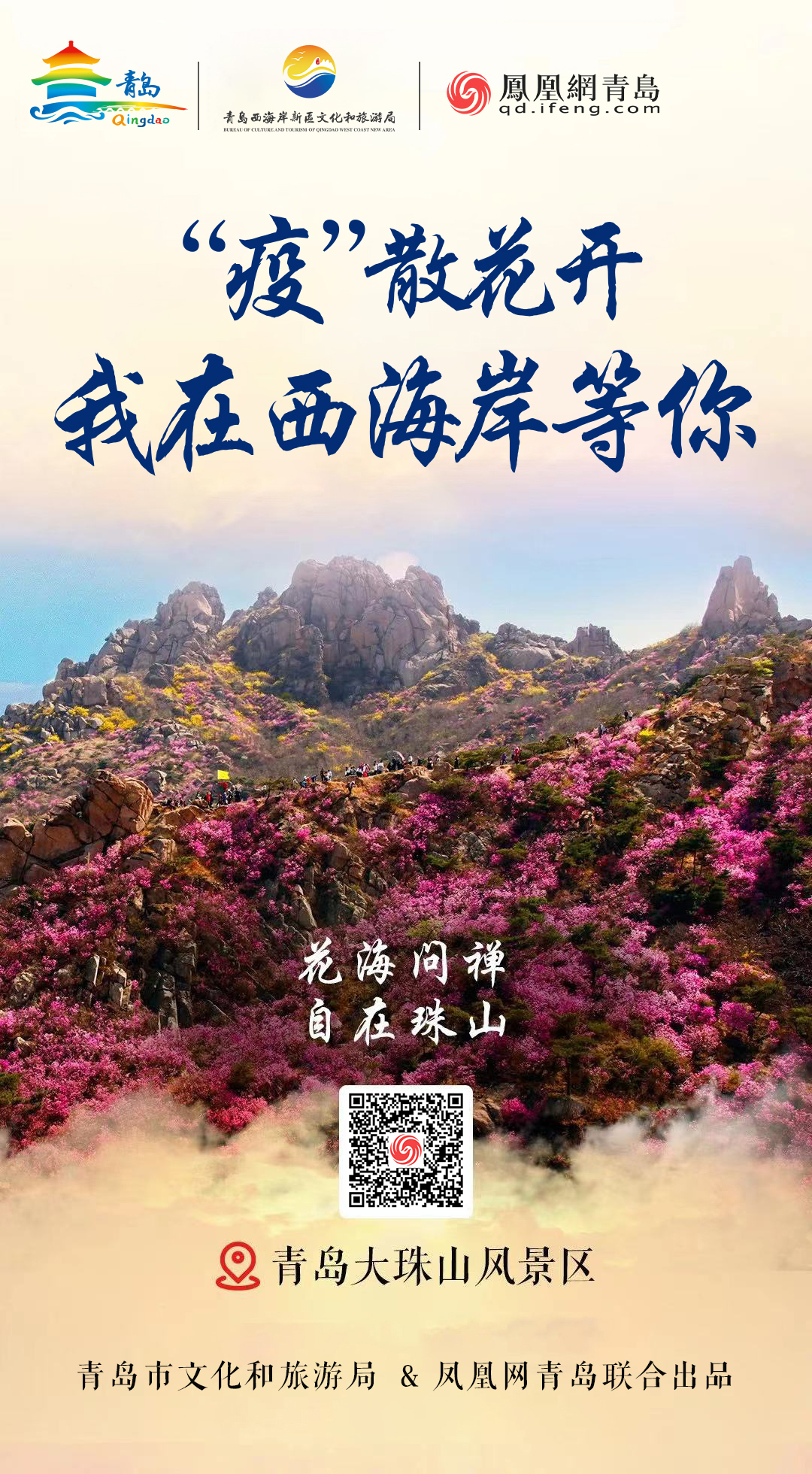 “疫”散花开,我在青岛等你 | ②美从海上来,绝色西海岸