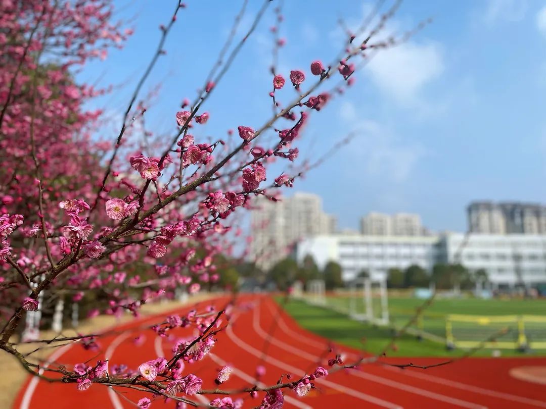 校园春景照片图片