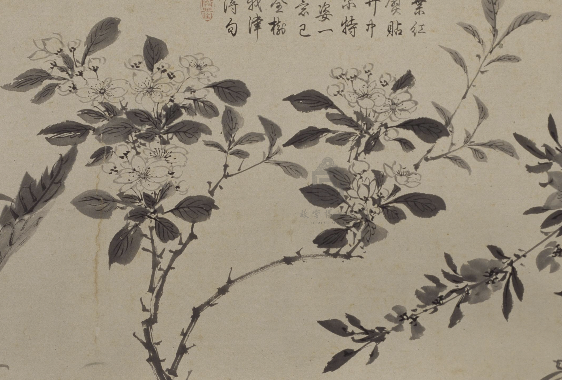 明 周之冕 《百花图》卷(局部海棠) 故宫博物院藏