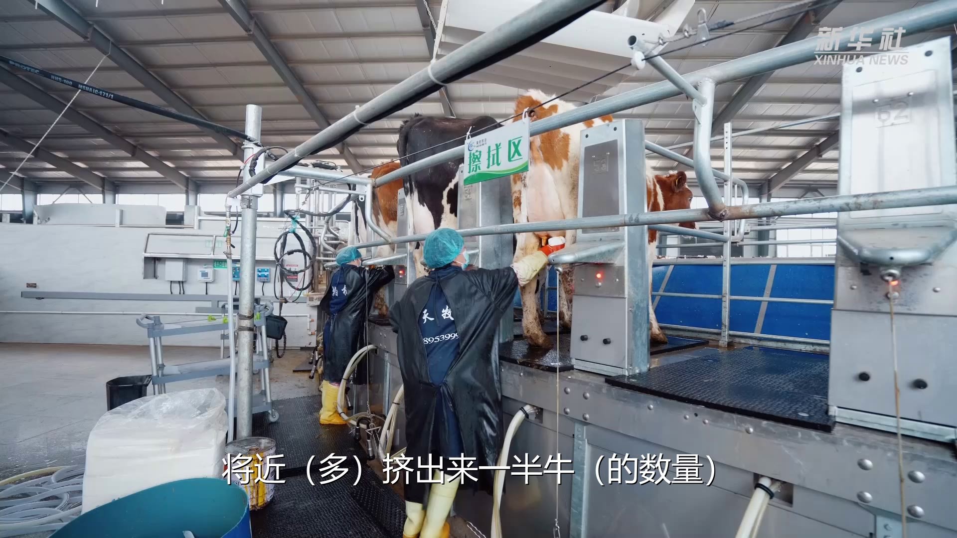 科技特派员丁秀琴：带着大伙儿奔“牛市”