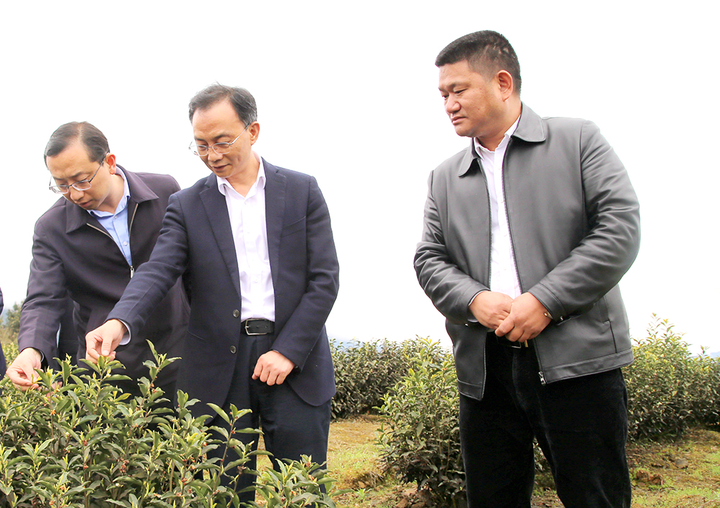 彭水县委书记石强:走好文旅农旅融合发展路子 推动农业产业规模化效益