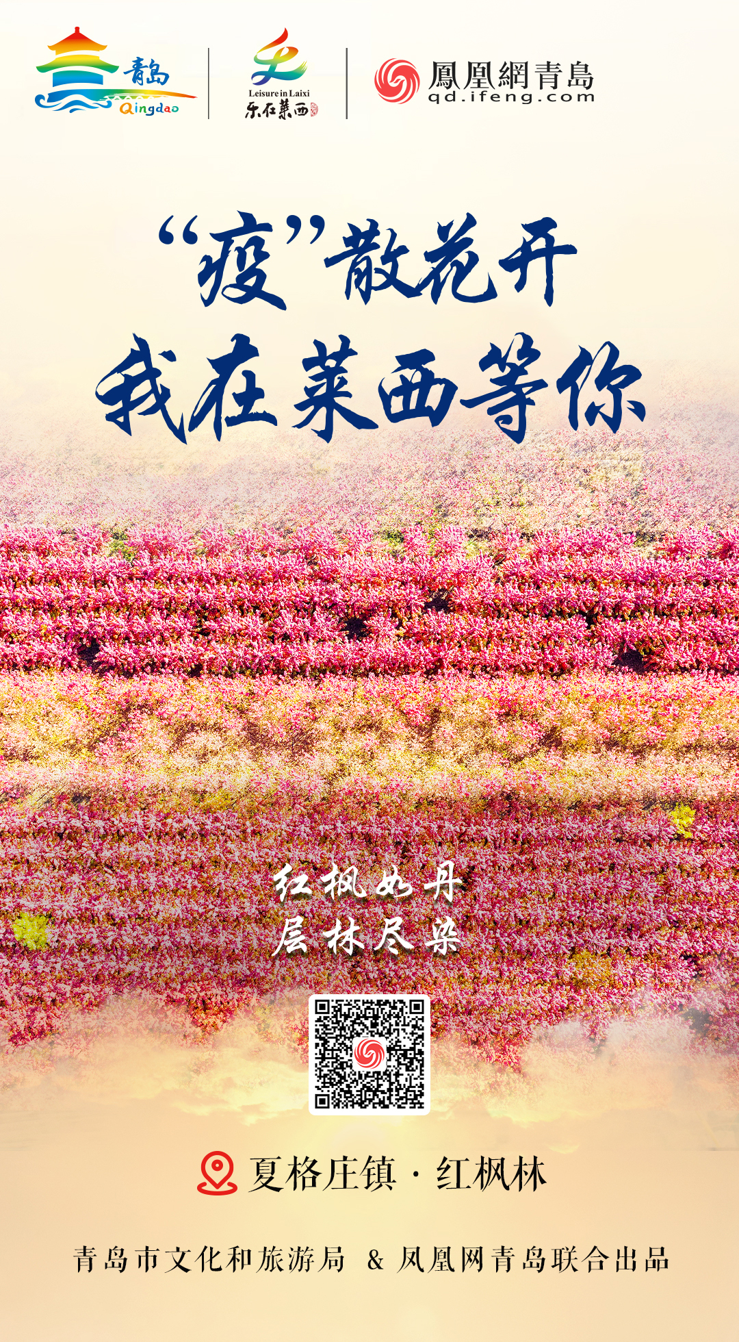 “疫”散花开,我在青岛等你 | ③ 光煦风和赏莱西