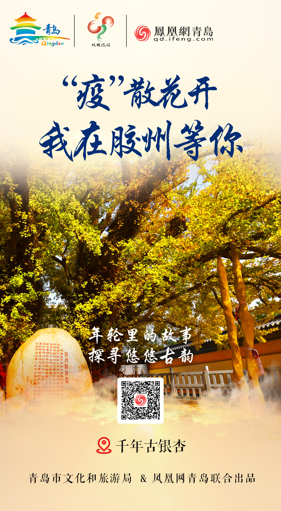 “疫”散花开,我在青岛等你 | ⑦水澈流岚观胶州