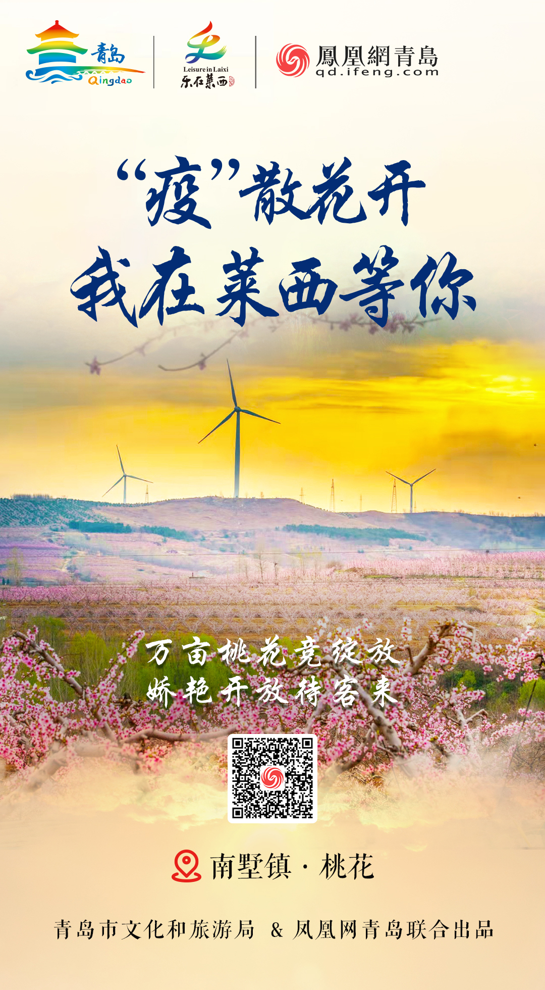 “疫”散花开,我在青岛等你 | ③ 光煦风和赏莱西