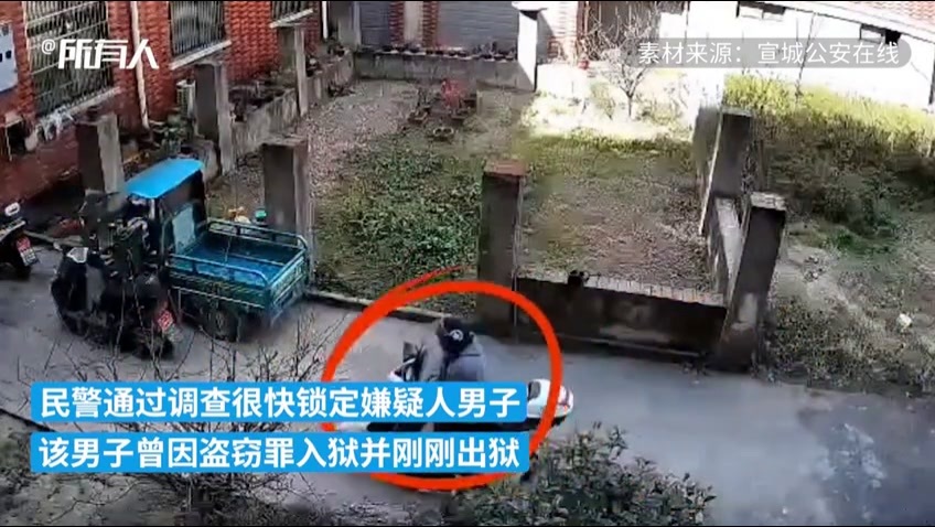 中山兩男公園偷鴨食 行拘五日