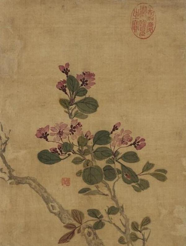 清 蒋廷锡 《画花卉册〈海棠〉》 台北故宫博物院藏