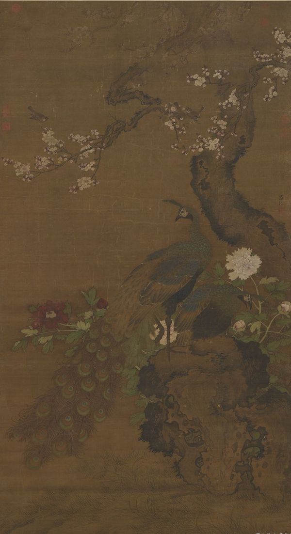 明 吕纪 《杏花孔雀》轴 台北故宫博物院藏