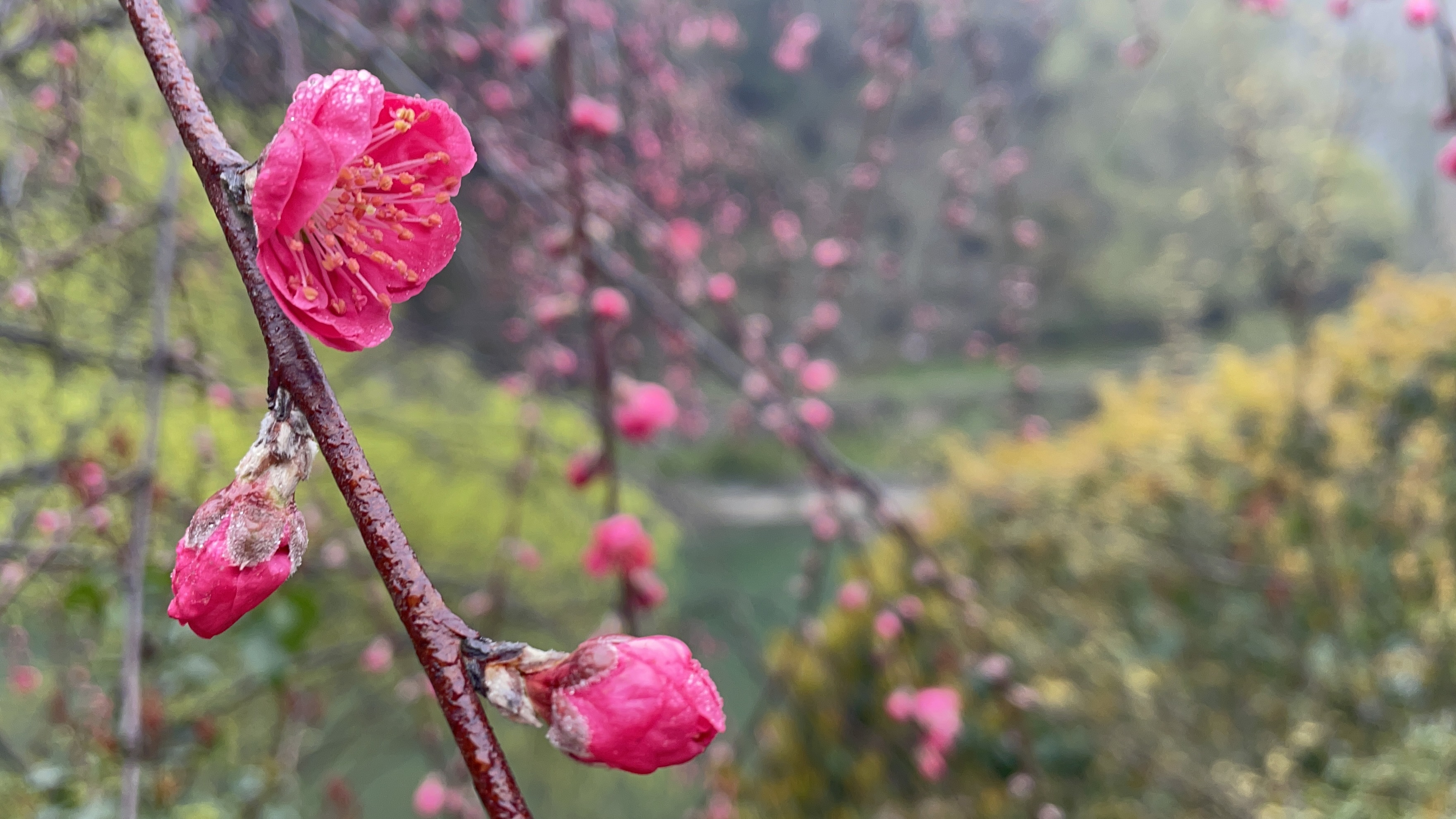 风景如画逍遥谷 青山绿水乐逍遥