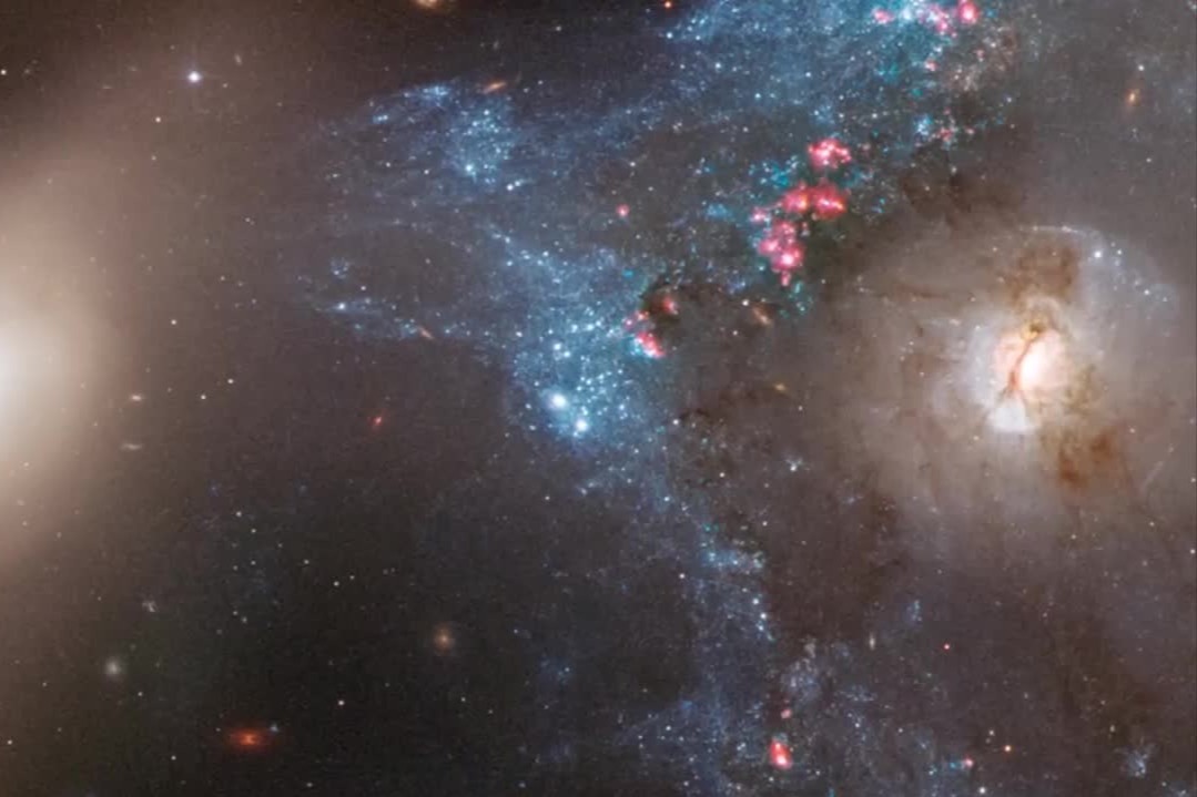 哈勃太空望远镜拍到星系NGC2445和NGC2444，简直绝美！