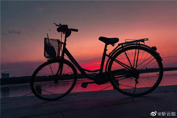 济南这几条颜值爆表的赏花大道，花下骑行太美了！