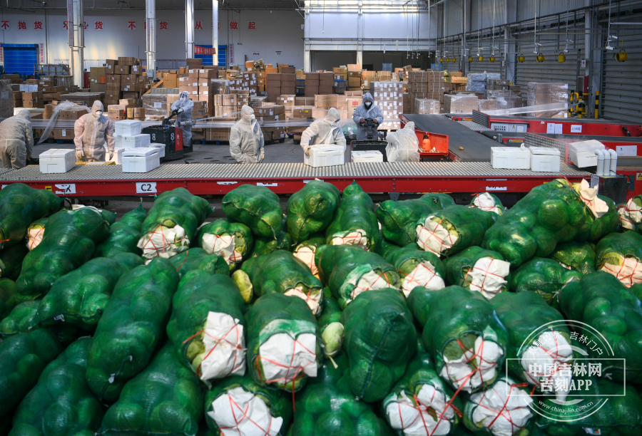 菜篮子保供战②直击顺丰配送蔬菜中转仓