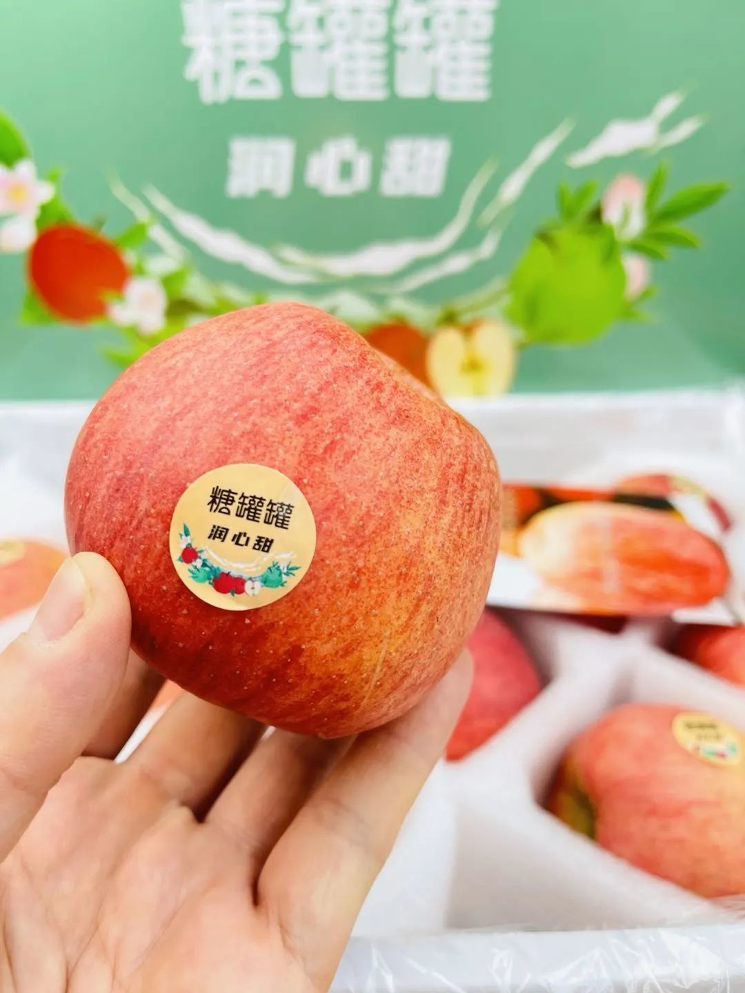 新西兰苹果大丰收 工人不足成难题 | 国际果蔬报道