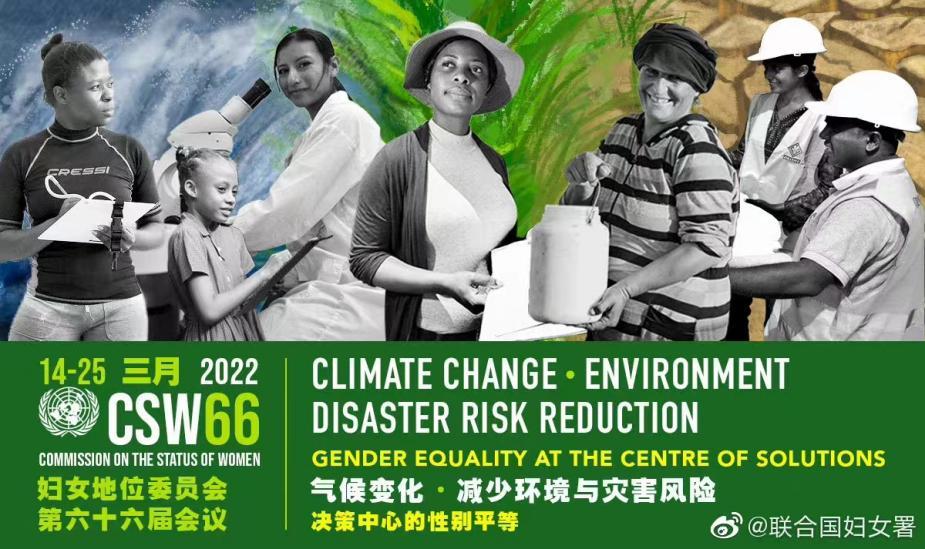 图源联合国妇女署