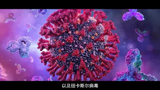 生物危机——令人担忧的美国生物实验室