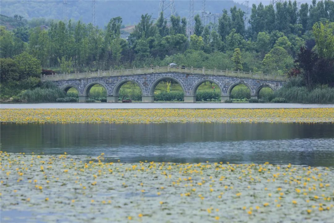 双桂湖国家湿地公园生态明珠耀都梁