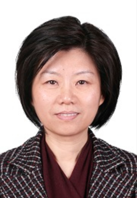 重庆市委常委、市纪委书记宋依佳任重庆市监委副主任、代主任