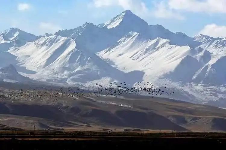 丝路古城永昌:一座河西走廊上的“江南水乡”