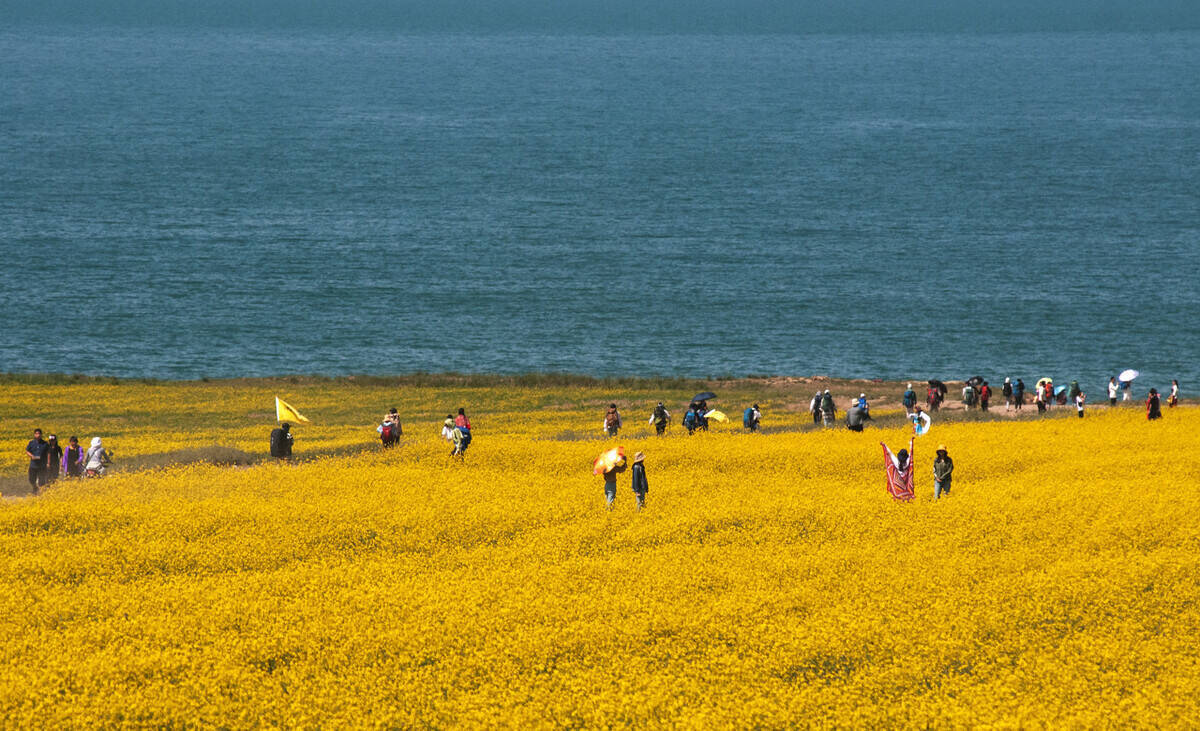 四季旅行清单，这几个限定旅游目的地，美丽大气，你想去哪个？