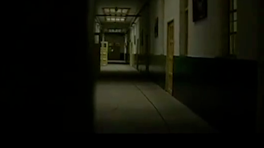 从1955年到1956年李玉琴先后六次去看溥仪,短暂相见却无法化解十年的相思_凤凰网视频_凤凰网