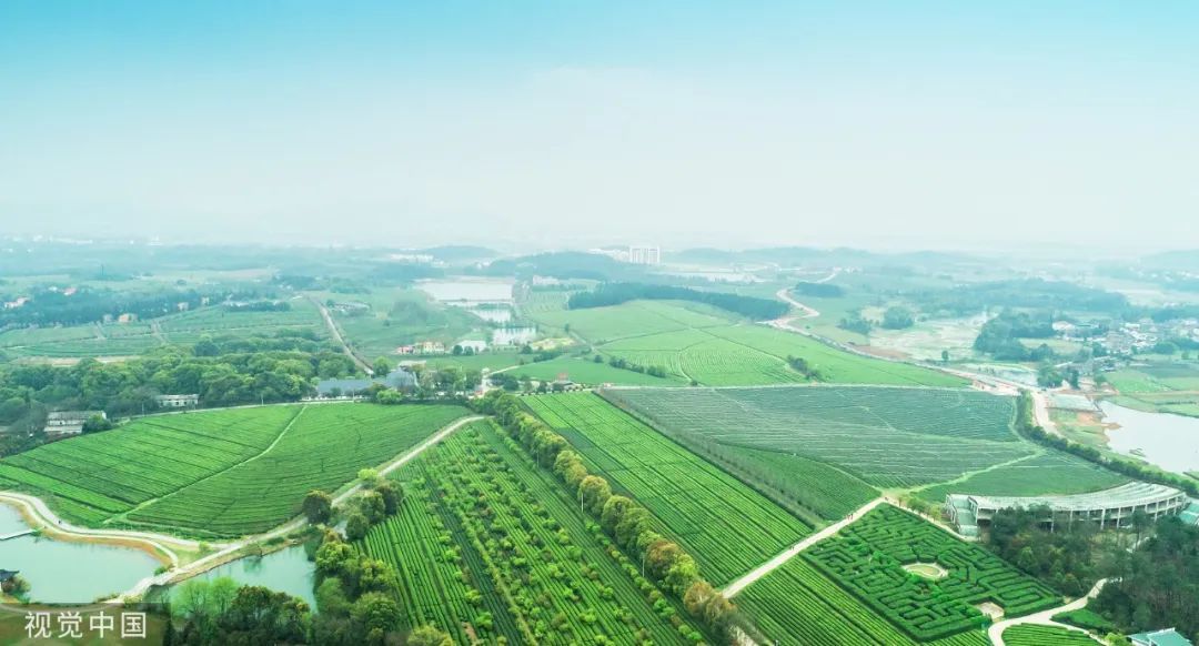 南昌县,江南鱼米之乡 / 视觉中国