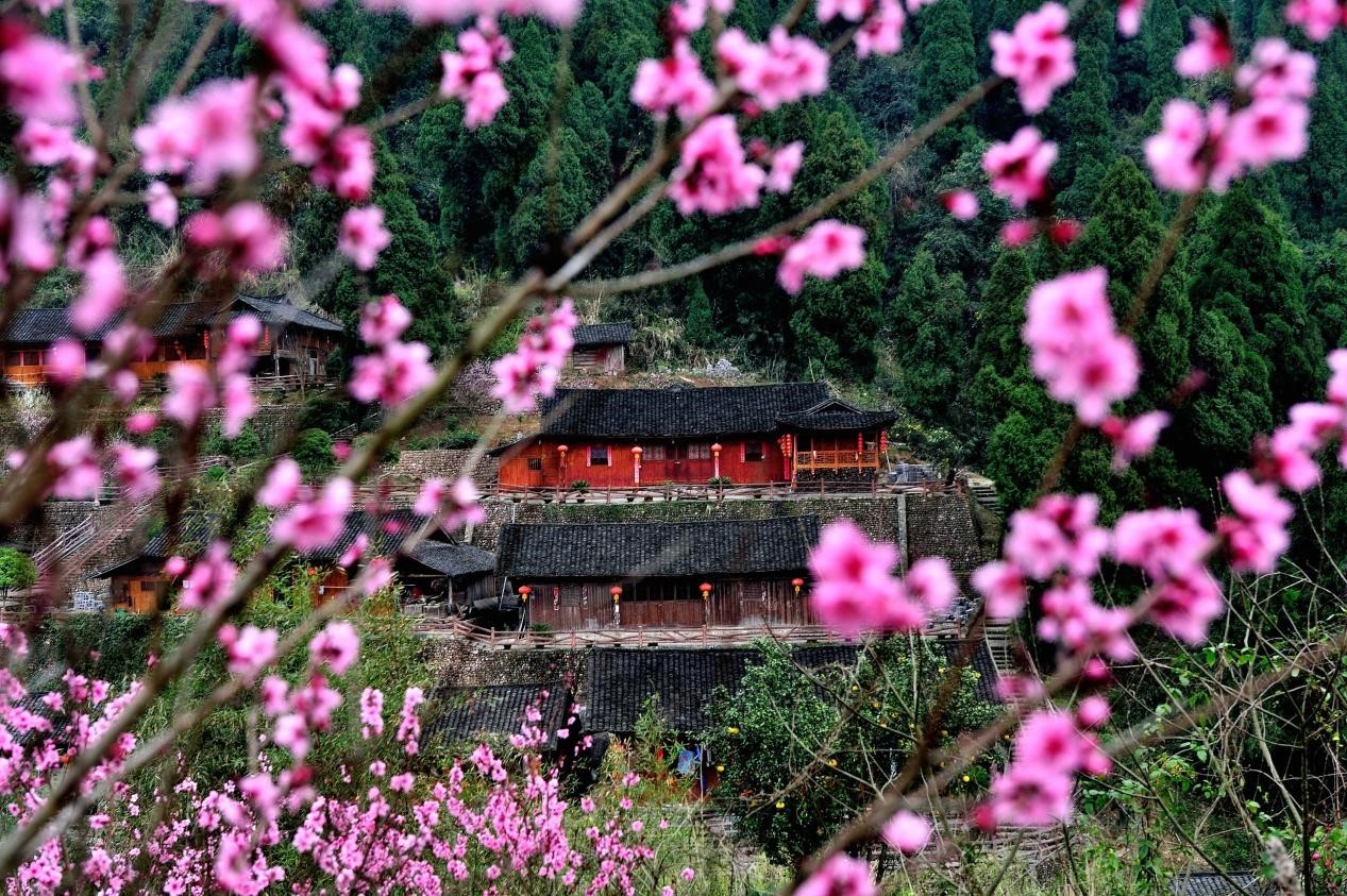 芙蓉镇双世度假区「春日赏花图鉴」请查收！